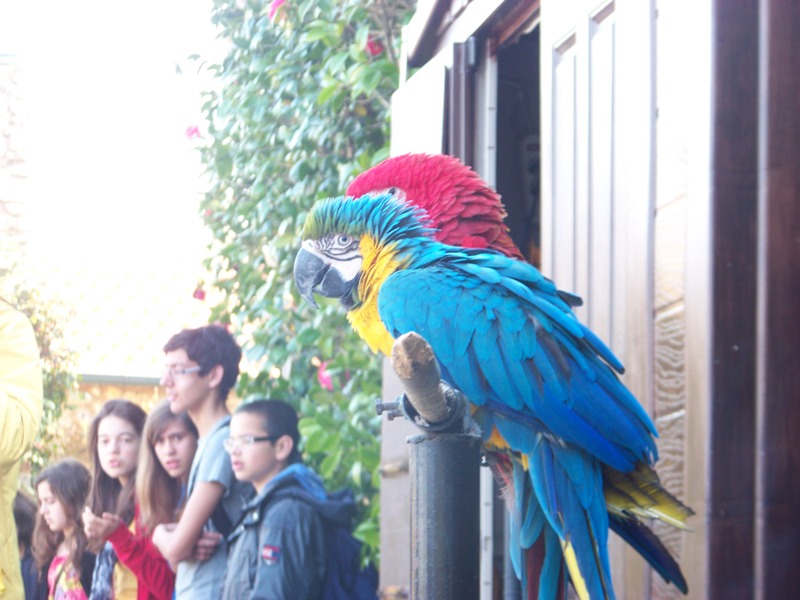 Centro de férias - páscoa 2012